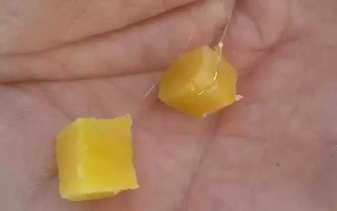 红薯